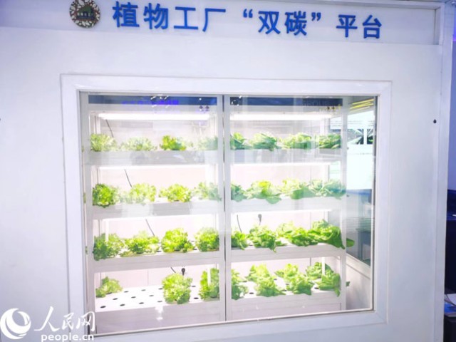 數(shù)字內(nèi)容新紀(jì)元 激發(fā)源頭創(chuàng)新，科技點亮精彩生活